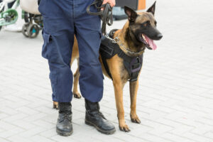 K9 Security Services